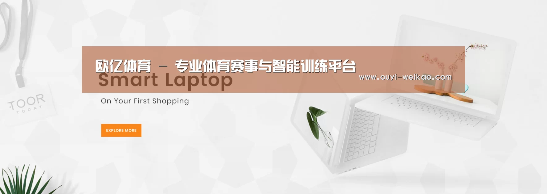 某某网络科技有限公司