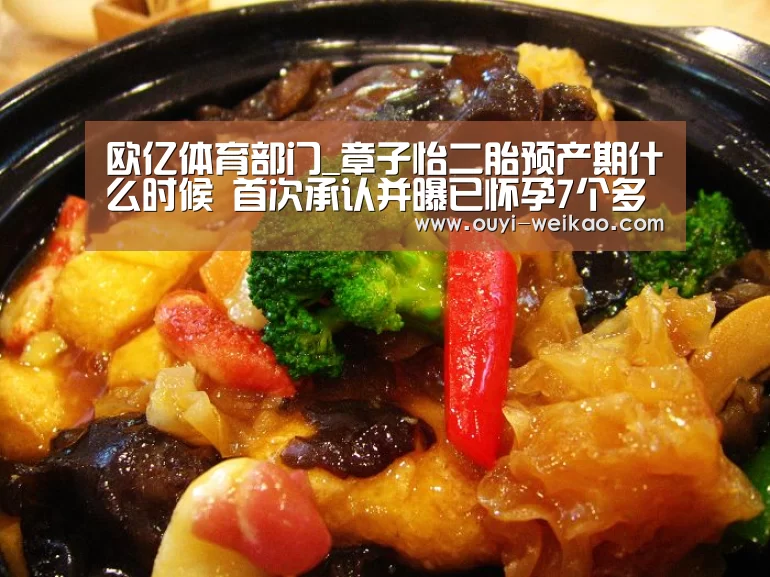 欧亿体育部门_章子怡二胎预产期什么时候 首次承认并曝已怀孕7个多月(图4) 欧亿体育部门