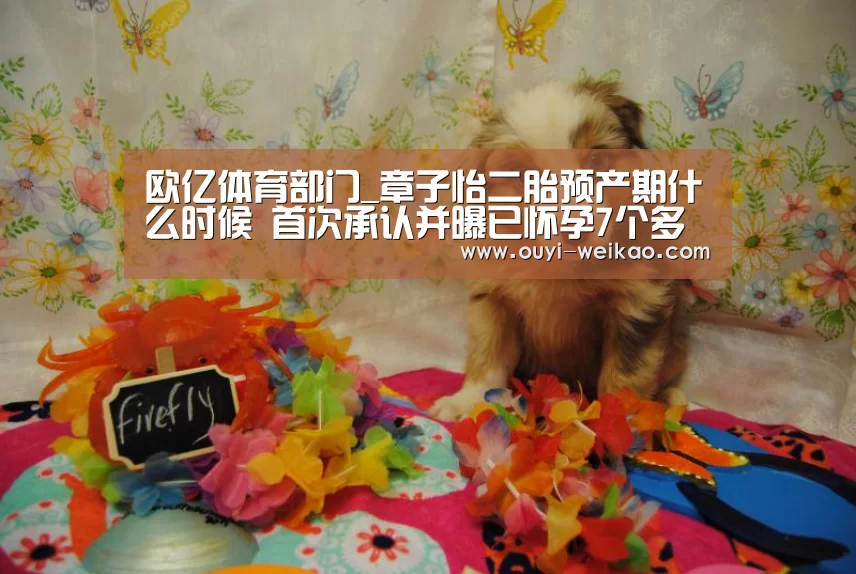 欧亿体育部门_章子怡二胎预产期什么时候 首次承认并曝已怀孕7个多月(图3) 欧亿体育官网