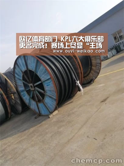 欧亿体育部门_KPL六大俱乐部更名完成!赛场上尽显“主场风采”!(图1) 欧亿体育团队