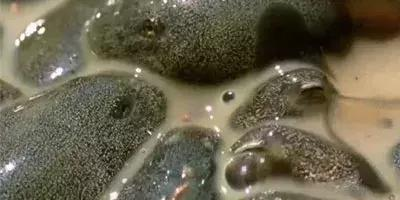 小酷星幼儿园学期末教学成果展示活动-欧亿体育部门(图1) 欧亿体育公司