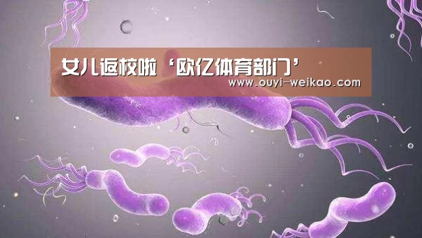 欧亿体育团队
