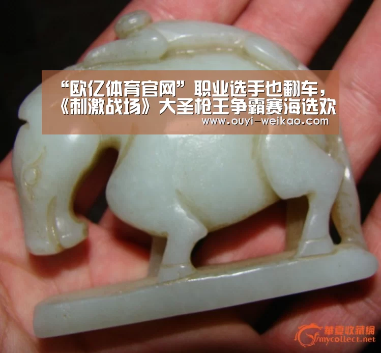 “欧亿体育官网”职业选手也翻车,《刺激战场》大圣枪王争霸赛海选欢乐落幕(图1) 欧亿体育公司