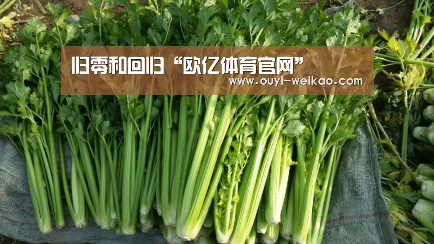 归零和回归“欧亿体育官网”(图1) 欧亿体育部门